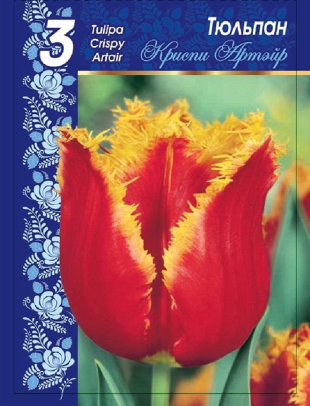 Тюльпан Криспи Артэйр 1 уп. (3шт.) 